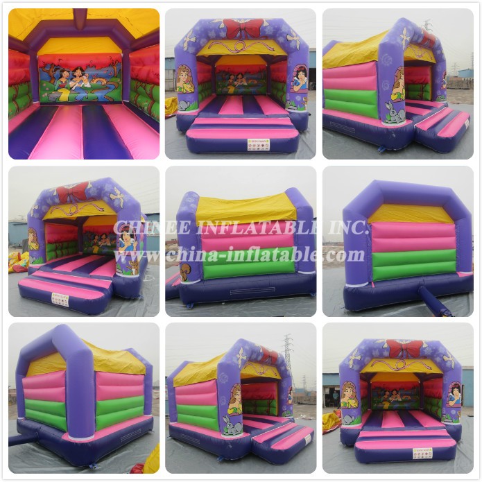 a - Chinee Inflatable Inc.